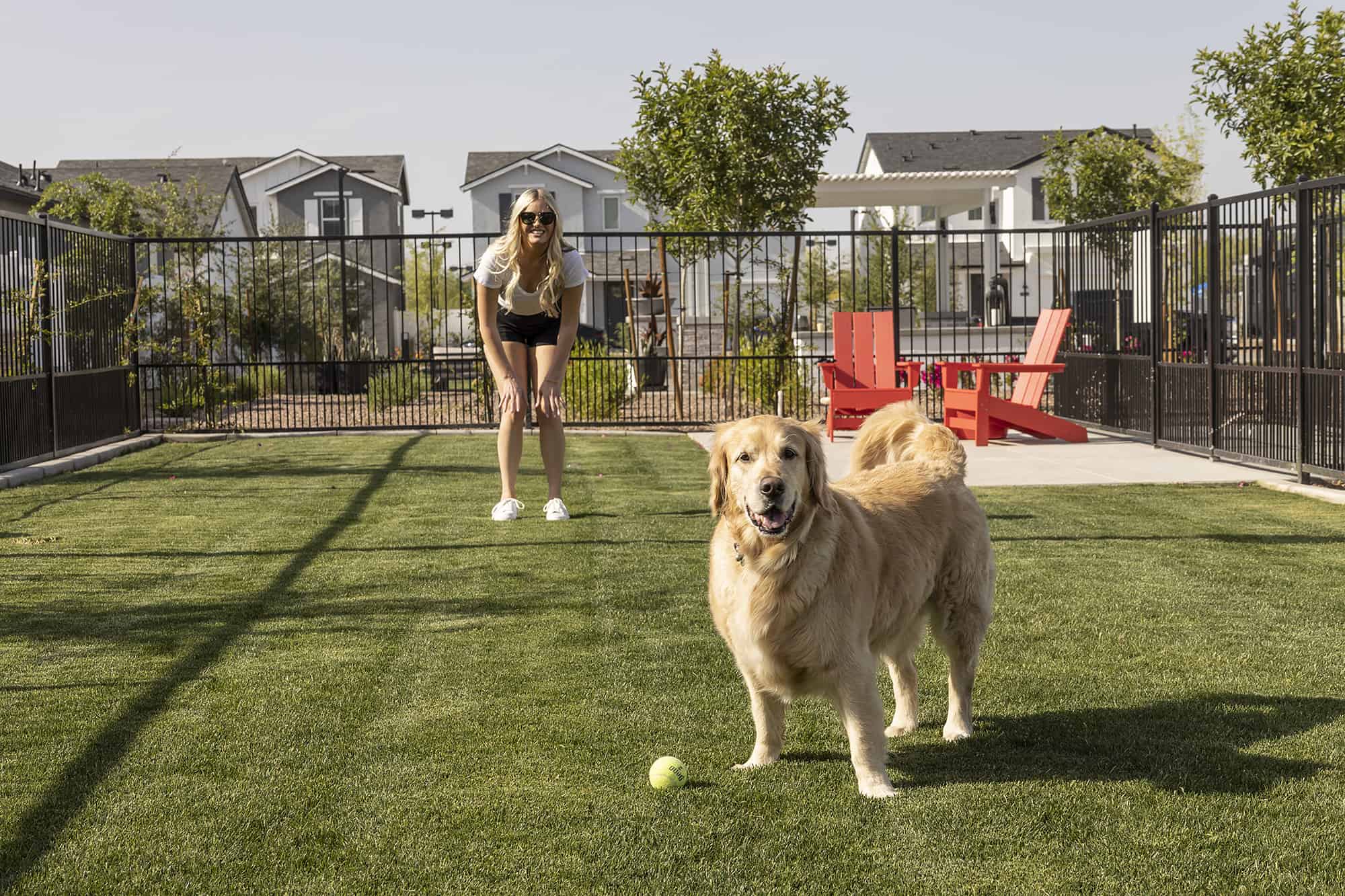 woman and dog at dog park