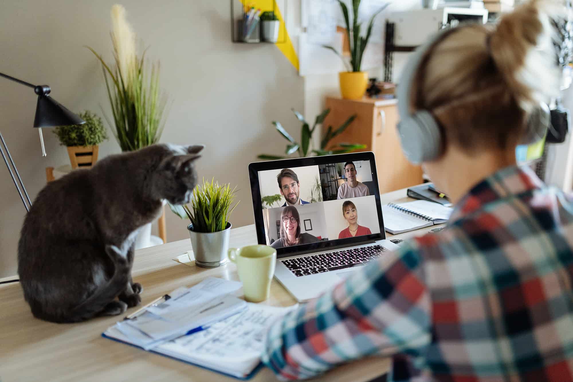 Woman at desk with cat and laptop computer