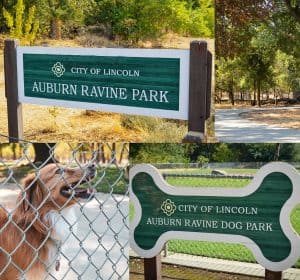 Auburn Ravine Park near Cyrene at Meadowlands in Lincoln, California 