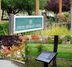 Pete Demas Park near Cyrene at Meadlands in Lincoln, California