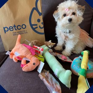 Petco pet supply store near Cyrene at Meadowlands in Lincoln, California