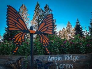 Apple Ridge Farms in Camino near Cyrene at Meadowlands in Lincoln, California