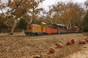 
Bishop's Pumpkin Farm near Cyrene at Meadowlands in Lincoln, California