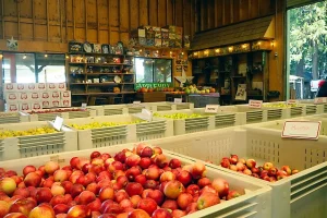 O’Halloran’s Apple Trail Ranch in Camino near Cyrene at Meadowlands in Lincoln, California